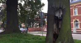 Weterana zastąpią młodzi następcy Weterana zastąpią młodzi następcy