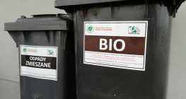 Czas na jesienną deratyzację Czas na jesienną deratyzację