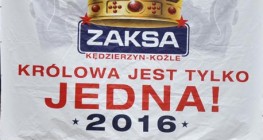 Kibice powitali mistrzów Polski z Zaksy